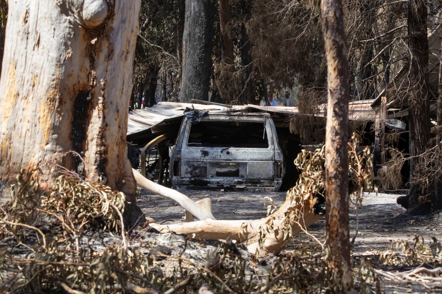 AUSTRALIAN STATE DECLARES EMERGENCY AS WILDFIRES CONTINUE 